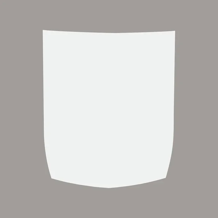 2015-2019 Corvette Stinger Style Stripe – Solid Stripe – Matte White – Z06 – CA