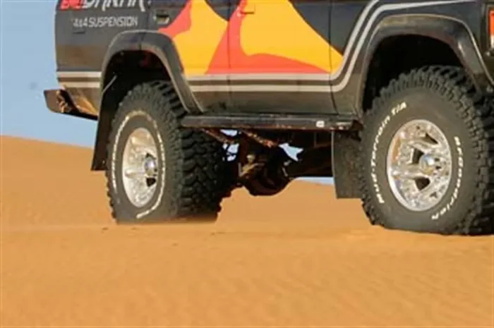 ARB Deluxe Protection Step 4410020