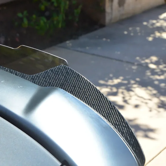 Charger 15-23 Carbon Fiber Wicker Bills