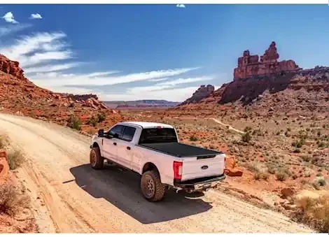 Truxedo 15-c f150 8ft sentry ct